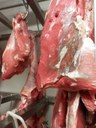 La carne e il tessuto muscolare - Simona Lauri OTA Milano