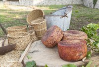 Il Pecorino di Filiano - Caterina Vianello OdG Venezia