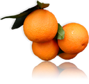 La arance di Ribera Dop. La Redazione