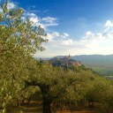 AIUTO hanno cancellato la scadenza dell'olio - Irene Guidobaldi Produttrice di olio