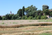 Perché l’esigenza di una De.C.O – Maura Alessia Pera  Assessore Cultura-Comunicazione-Politiche Giovanili Comune di San Vittore Olona (MI)