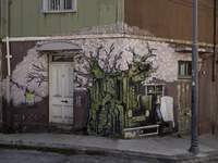 I Graffiti di Valparaiso in Cile - Luciano Sangiorno