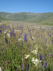 La magia di Castelluccio - Giampiero Rorato