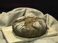 Grani antichi: un’opportunità per le persone con sensibilità al glutine non celiaca - Luciano Sangiorgio