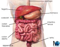 Sindrome dell'intestino irritabile - Luca Pirretta