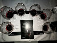 Amarone basta la parola -Lana Khariton wine journalist