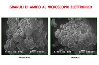 L'amido e la cattiva informazione - Gabriele Raimondi Biologo Responsabile Qualità Industrie Molitorie