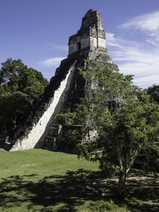 Tikal - Luciano Sangiorgio