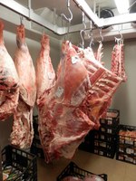 Macellazione rituale - Piero Nuciari Agente scelto Polizia Municipale Monte Urano (Fermo)