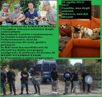 Validazione di una sceneggiata - Antonella Giordanelli