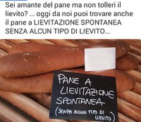 Fermentazioni spontanee e falsi claims - Simona Lauri OdG Milano