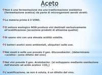 Aceto: difetto o arte? - Fabrizio Concavo studente universitario TA
