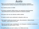 Aceto: difetto o arte? - Fabrizio Concavo studente universitario TA