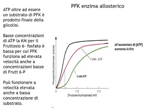 Proteine affascinanti e complesse - Giuseppe Paride studente STA