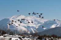 Una gita nel Parco Nazionale del Gran Sasso e Monti della Laga - Raffaella Testi