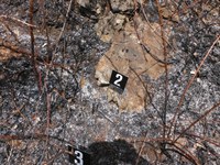 Parola d'ordine: evitare l'innesco - Giorgio Pelosio