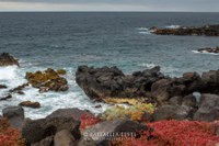 Tenerife - Raffaella Testi