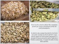 Il (carciofo) verde psichedelico - ELLA S.r.l.