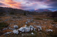 I colori della natura: uno sguardo all’Abruzzo - Raffaella Testi