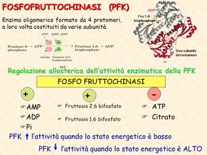 PFK, PDC, PDH, che confusione... La Redazione