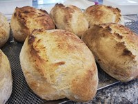 16 ottobre - Giornata mondiale del pane - ITAMOPA Ass Industriali Mugnai d' Italia