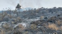 Incendi sul Vesuvio: il punto con l'Associazione Primaurora - Maria Rosaria Voccia