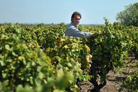 Le Felline e le giornate di Milano - Gianluca Moreschi