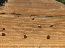Durum Days 2026 - Laura Pierandrei - Italmopa