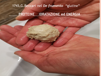 Glutine: anatomia di un mito alimentare - Alberto Guidorzi