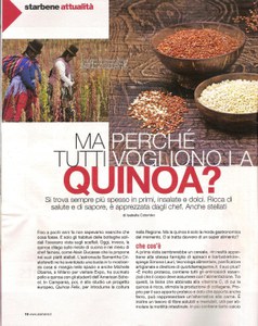 quinoa1 001.jpg