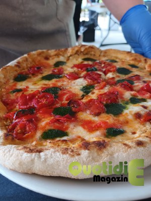 pizza3.jpg