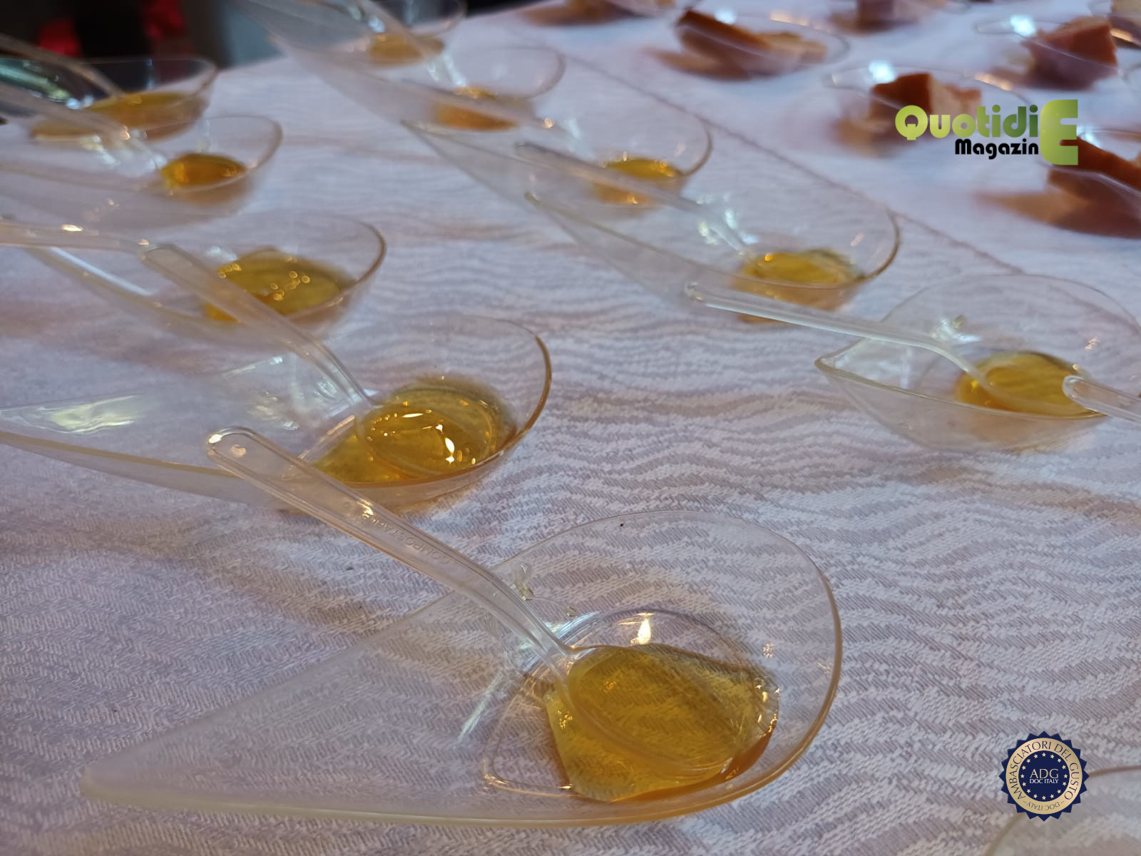 evento12.JPG