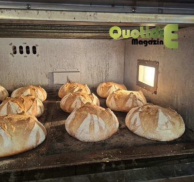 Pane con farina di mais