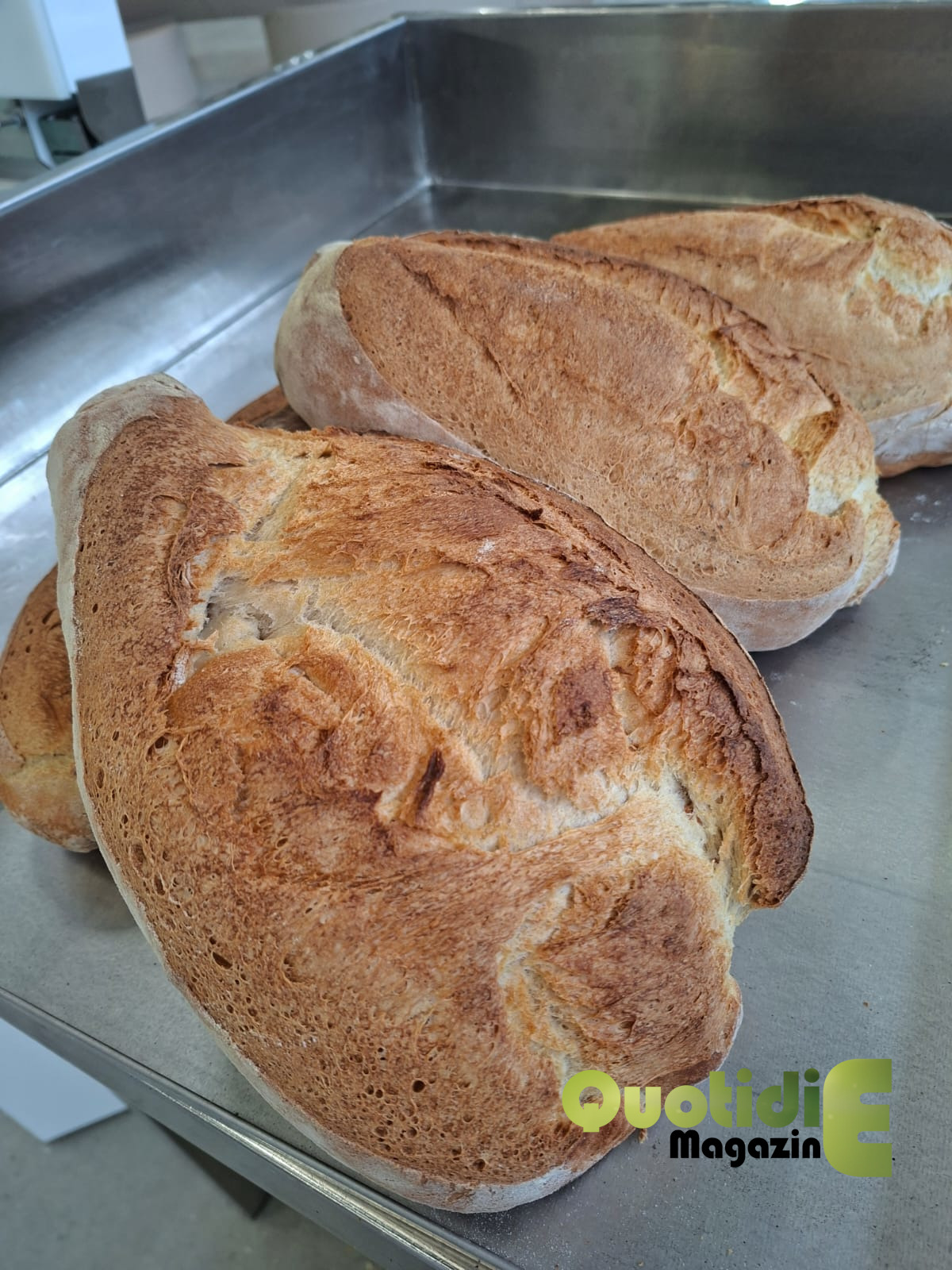 Pane con lievito madre