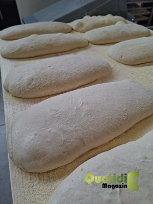 Impasto per pizza in pala