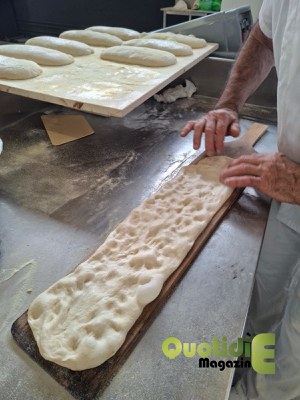 Preparazione pizza in pala